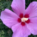 길목농장 이미지