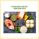 비타민사우나 이미지