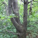 가평교통 주식회사 이미지