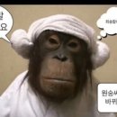 일상약국 이미지