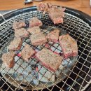 청년장어 이미지