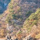 달천펜션 | 무주 가볼만한곳, 무주 여행, 계곡, 코스, 경비, 숙소, 2박 3일 관광