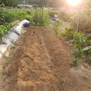 산울림 농장 이미지