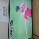 도시 텃밭인심 이미지