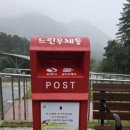 거꾸로 옛이야기나라숲 이미지