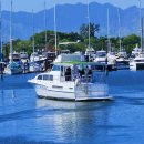 삼삼골프 이미지