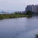 용암천9교~ 자동차검사소 사거리 | 왕숙천(2) 구리둘레길-별내 용암천