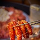 야탑동 503 이미지
