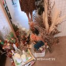 조하컴퍼니 이미지