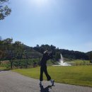 나인스타 이미지