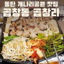 곱창리 | 동탄 개나리공원 곱창 맛집 곱창동곱창리