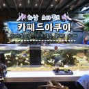 하남 스타필드 카페 놀거리 추천 카페드아쿠아 아기랑 가기 좋은 3층 물고기 키즈 카페