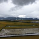 황토바다 이미지