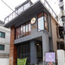 네일 위자드(nail wizard) 이미지