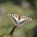 용와산성 이미지