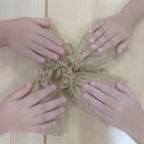 행복한숲생태교육연구소