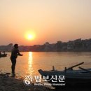 종광