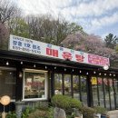 원조닭백숙 | 양주 _ 장흥 1호 원조 닭백숙 맛집, 계곡 식당 또간집 후기 <장흥산장>