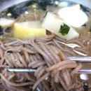 강릉동치미막국수 Daum카페