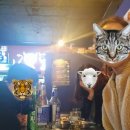 마왕꼬지 이미지