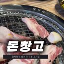 단관택지 맛집 특수부위가 맛있는 원주 단구동 고기집 돈창고