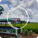 공룡목장 | 연보람목장 후기｜아이 체험학습으로 만족도 높았던 목장 나들이