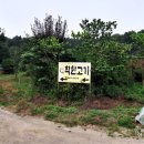 원당점현대자동차 이미지