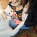 현풍(하)휴게소 자판기 | 2) 삿포로를 내집처럼 삿포로 박