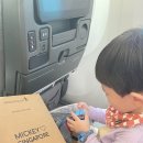 3세 아이와 싱가포르 항공 도어투도어 기내용 장난감 추천 유아기내식 후기 (SQ607, SQ600)