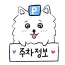 봄날안경원 네이버블로그