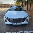 (유)고려렌트카 | 부평렌트카 탑승하자마자 느껴지는 쾌적한 이동의 순간