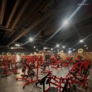 퍼센트짐 우산점 이미지