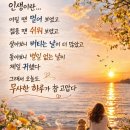담양죽순추어탕 Daum카페