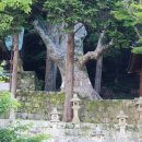 단지천 이미지