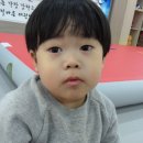 화창태권도장 이미지