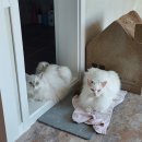 홈플러스(주) 동대전점 이미지