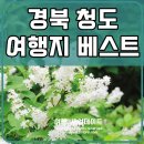 고성군궁도장 | 경북 청도 가볼만한곳 베스트 10