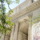 대학한약국 이미지