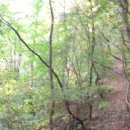 아라리쉼터 이미지