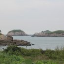 유영목장 Daum카페