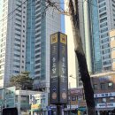 서울 종로구 숭인동 (동묘 구제시장) 산책 후기
