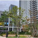 양재대로 88길 이미지