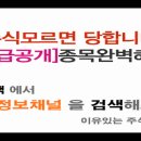 [엑세스바이오 - 증권정보채널] 엑세스바이오(950130) 종목분석 및 향후 투자 대응전략 이미지