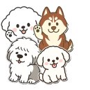 댕댕이 홀딱 반한 간식 | 🍠 “대형견 간식 고민 끝! 댕댕이들 홀딱 반한 ‘고구멍깡’ 등장!🍠냄새도 깔끔, 영양도 완벽! 강아지...