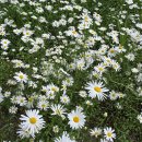 [4편] 2024년5월8일 수요일 남파랑길 54코스를 다녀와서! 이미지