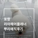 리아헤어플래너