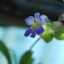 바다가 그리울때 이미지