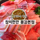 더테이블마포탭룸 | 마포역 참치한판 용강본점 | 혼마구로 참치로 제대로 즐기는 참치 가성비 맛집