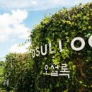 제주생맥주