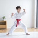 코리아 익스트림 태권도 이미지